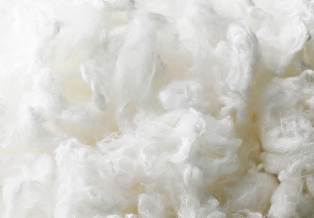 オーミケンシの綿